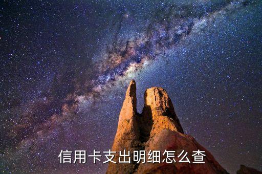  信用卡支出明细怎么查