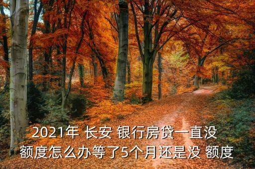 2021年 长安 银行房贷一直没 额度怎么办等了5个月还是没 额度