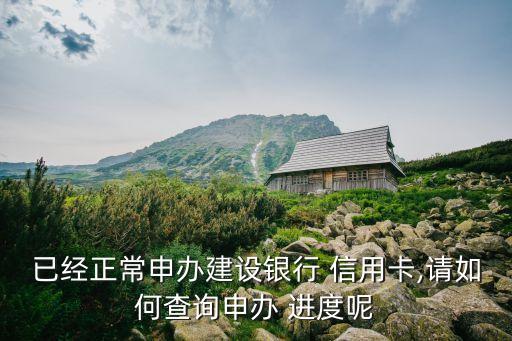 线下信用卡申请进度在哪看,建设银行信用卡申请查询进度