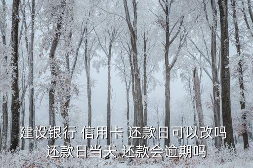 建设银行 信用卡 还款日可以改吗 还款日当天 还款会逾期吗