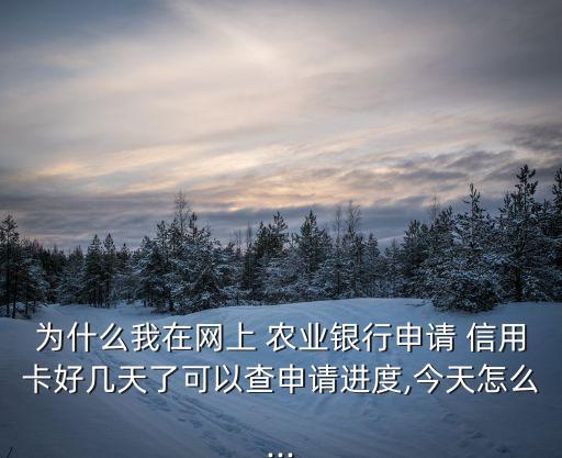 为什么我在网上 农业银行申请 信用卡好几天了可以查申请进度,今天怎么...
