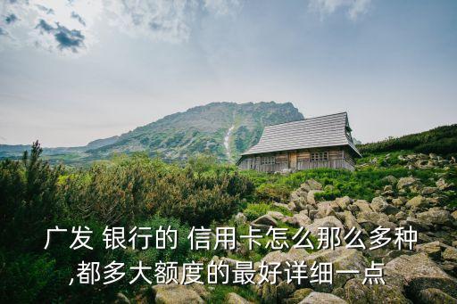 广发 银行的 信用卡怎么那么多种,都多大额度的最好详细一点
