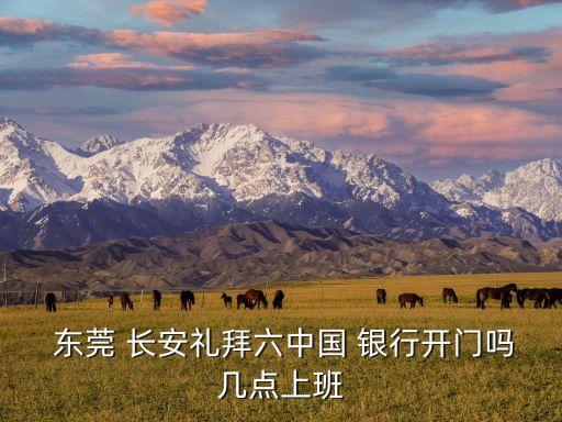 东莞长安银行信用卡,长安银行信用卡400电话号码