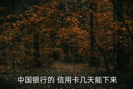  中国银行的 信用卡几天能下来