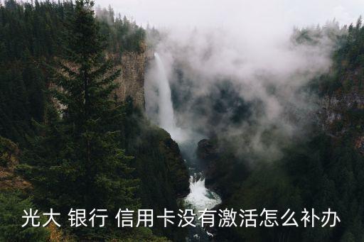 光大 银行 信用卡没有激活怎么补办