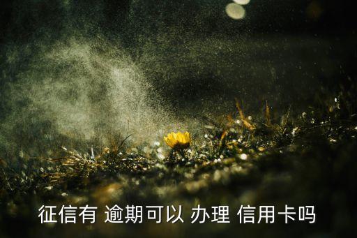 征信有 逾期可以 办理 信用卡吗