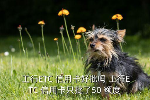  工行ETC 信用卡好批吗 工行ETC 信用卡只批了50 额度