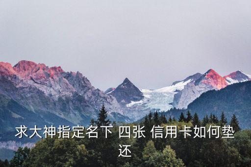 求大神指定名下 四张 信用卡如何垫还