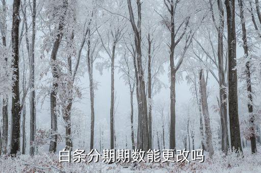 白条分期期数能更改吗
