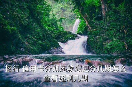 招行 信用卡分期还款忘记分几期怎么查看还剩几期