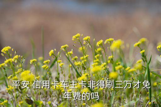 平安 信用卡车主卡非得刷三万才免 年费的吗
