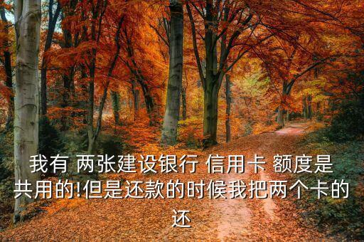 我有 两张建设银行 信用卡 额度是共用的!但是还款的时候我把两个卡的还