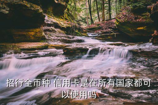 招行全币种 信用卡是在所有国家都可以使用吗