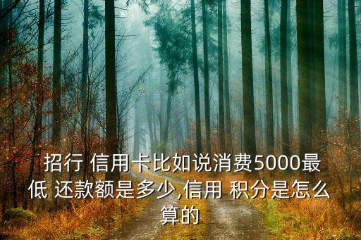  招行 信用卡比如说消费5000最低 还款额是多少,信用 积分是怎么算的