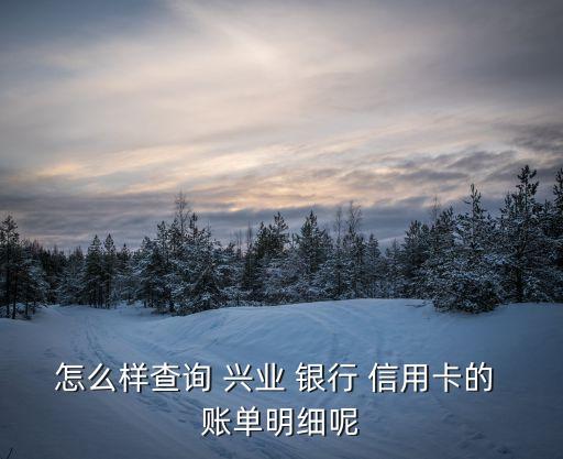 怎么样查询 兴业 银行 信用卡的 账单明细呢