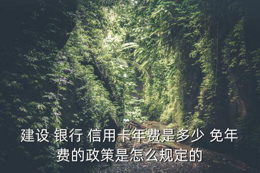 建设 银行 信用卡年费是多少 免年费的政策是怎么规定的