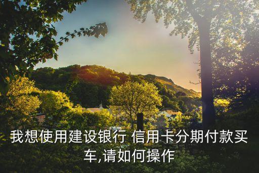 我想使用建设银行 信用卡分期付款买车,请如何操作