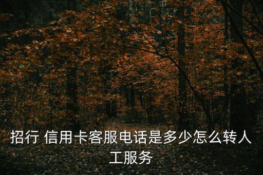 招行 信用卡客服电话是多少怎么转人工服务