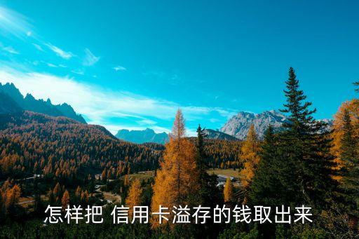 建设银行信用卡溢款取现