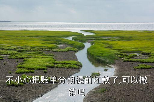 不小心把账单分期提前还款了,可以撤销吗