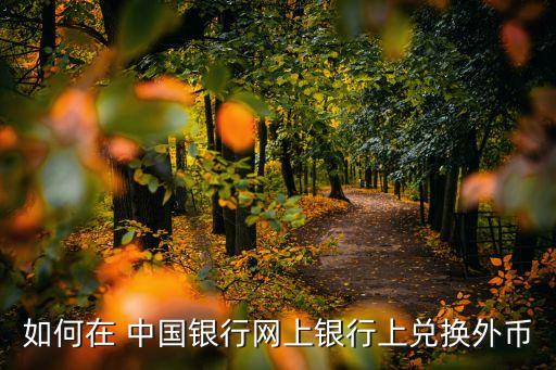 如何在 中国银行网上银行上兑换外币