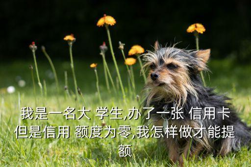 我是一名大 学生,办了一张 信用卡但是信用 额度为零,我怎样做才能提额
