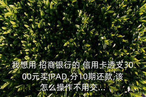 我想用 招商银行的 信用卡透支3000元买IPAD,分10期还款,该怎么操作不用交...