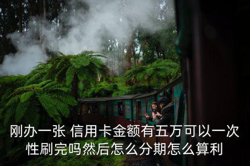 刚办一张 信用卡金额有五万可以一次性刷完吗然后怎么分期怎么算利