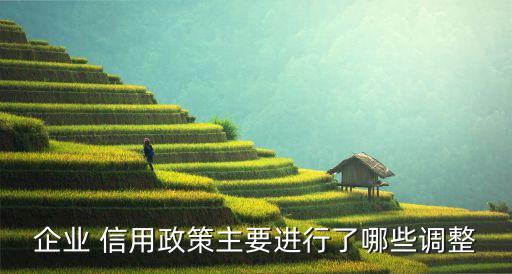 企业 信用政策主要进行了哪些调整