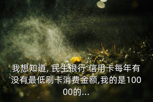 我想知道, 民生银行 信用卡每年有没有最低刷卡消费金额,我的是10000的...