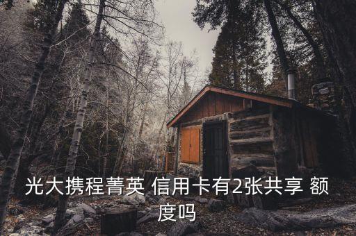 2张光大银行信用卡额度,光大银行信用卡额度一般是多少