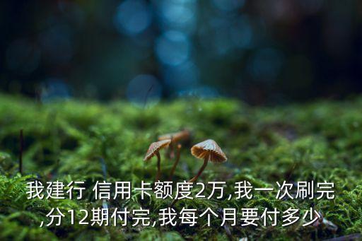 建设银行信用卡二万分12期