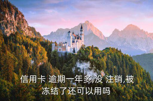  信用卡 逾期一年多,没 注销,被冻结了还可以用吗