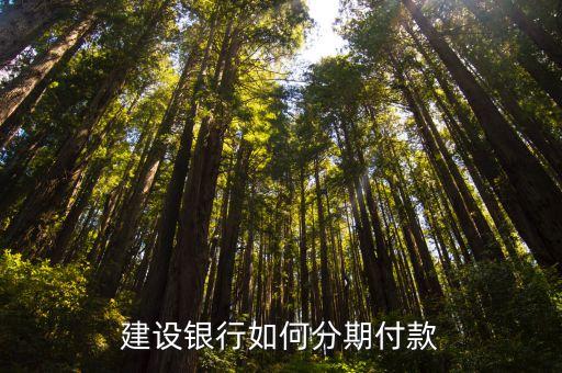 建行信用卡分期分为几种,建行分期通卡和信用卡有什么区别