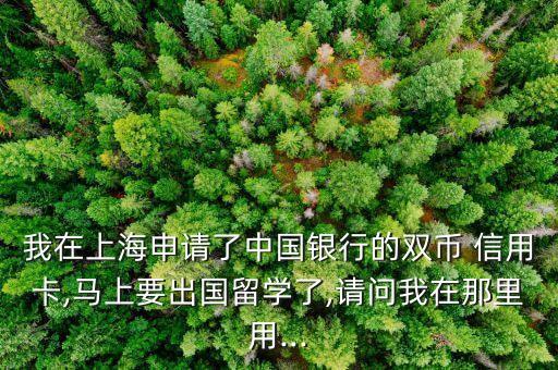 留学生信用卡怎么还款,信用卡怎么使用和还款
