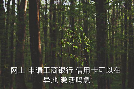 信用卡申请异地激活可以吗,中国银行信用卡异地激活