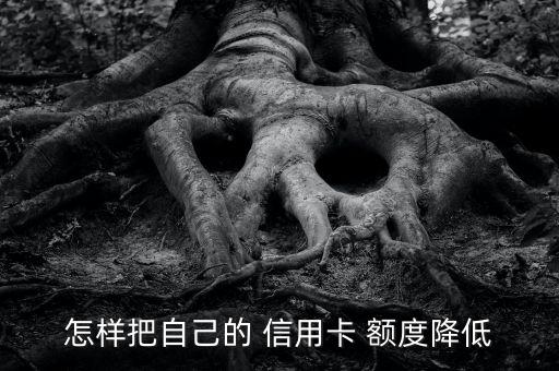 怎样把自己的 信用卡 额度降低