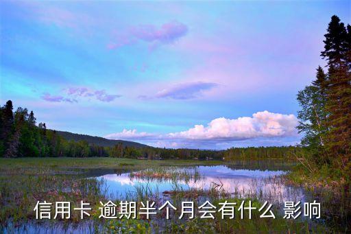  信用卡 逾期半个月会有什么 影响