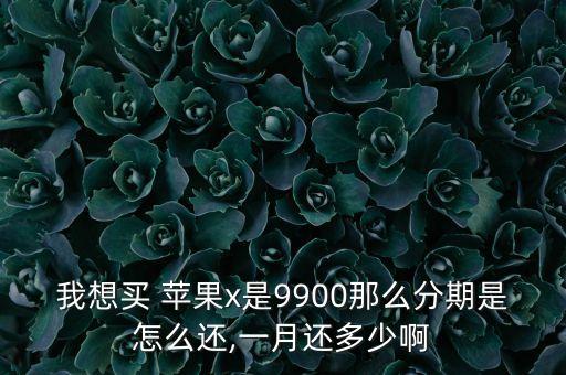 我想买 苹果x是9900那么分期是怎么还,一月还多少啊