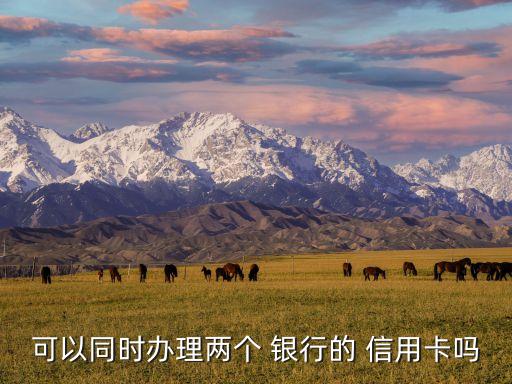 可以同时办理两个 银行的 信用卡吗