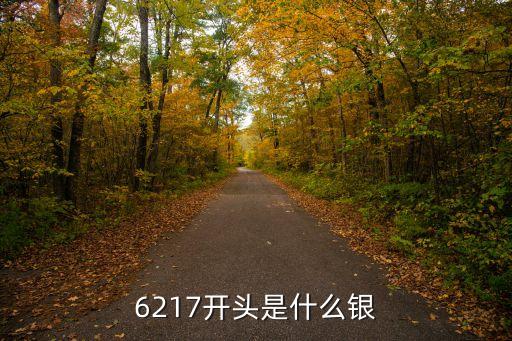6217开头是什么银
