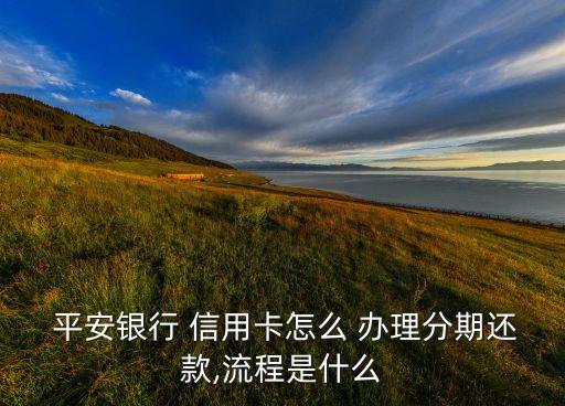  平安银行 信用卡怎么 办理分期还款,流程是什么