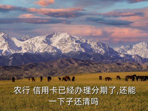  农行 信用卡已经办理分期了,还能一下子还清吗