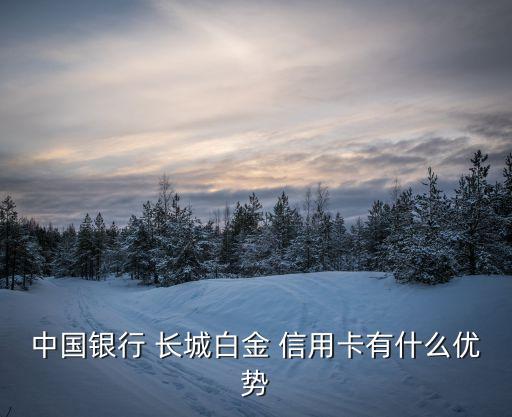 中国银行 长城白金 信用卡有什么优势