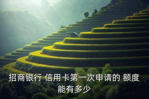 白户信用卡办理多少额度,白户办理哪个银行的信用卡容易批