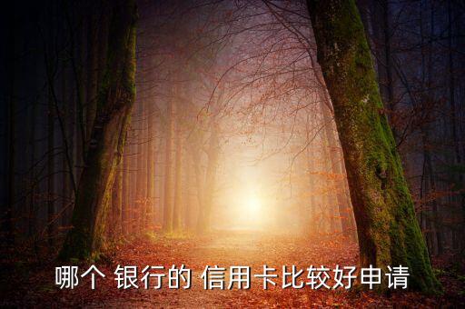 哪个 银行的 信用卡比较好申请