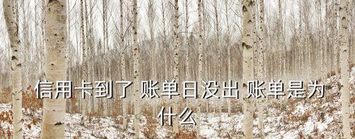  信用卡到了 账单日没出 账单是为什么