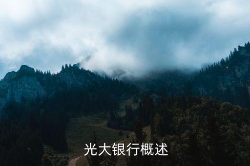 光大银行概述