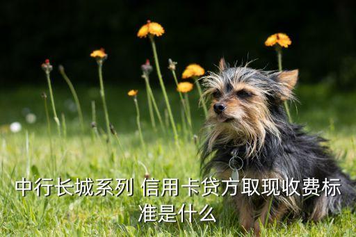 中行长城系列 信用卡贷方取现收费标准是什么