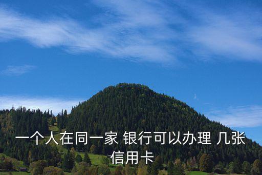 一个人在同一家 银行可以办理 几张 信用卡